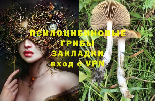 apvp Переславль-Залесский