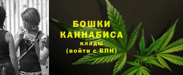 ПСИЛОЦИБИНОВЫЕ ГРИБЫ Арсеньев