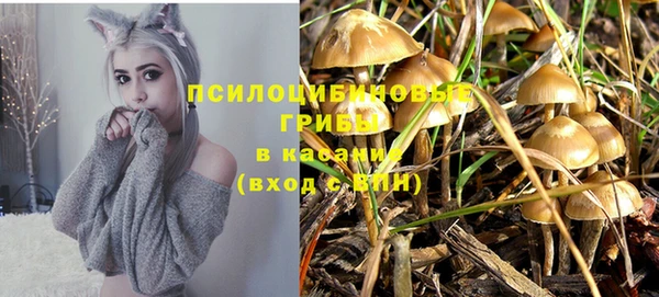 прущие крисы Балахна
