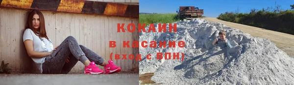 ПСИЛОЦИБИНОВЫЕ ГРИБЫ Арсеньев