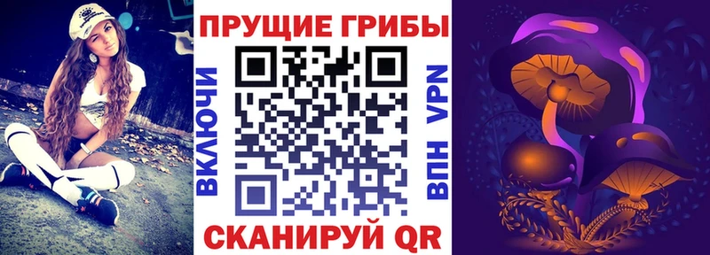 Галлюциногенные грибы прущие грибы цена даркнет Telegram Оленегорск кракен ССЫЛКА